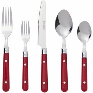 20 Piece Stainless Steel Flatware Silverware